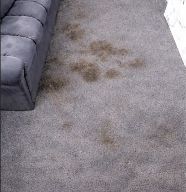 Before: a stained carpet beside a lounge